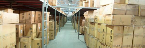 US LLC for E-Commerce Sellers Abroad: Amazon FBA, Shopify, Walmart, Dropshipping, Importing, Sales Tax and Income Tax Explained